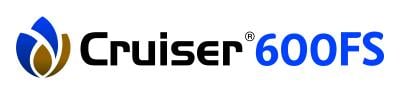 Cruiser 600