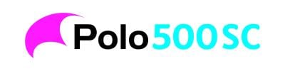logo polo