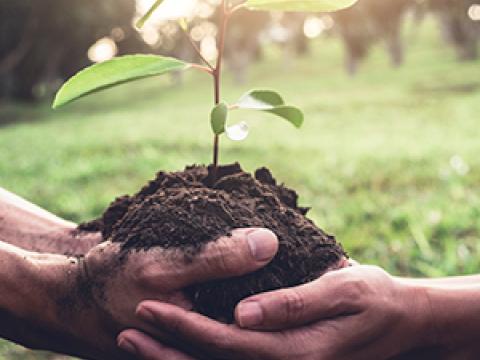 Teaser blog sustentabilidade Institucional
