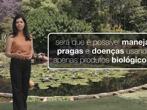 mitos e verdades 01