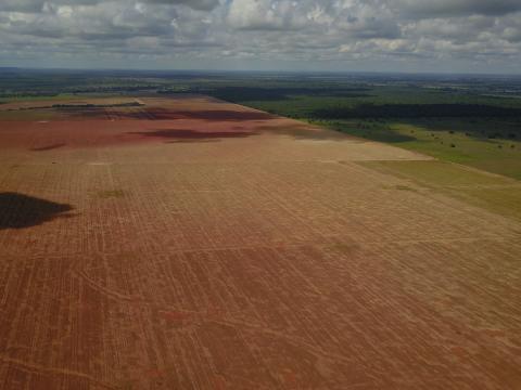 Fazenda no município de Jussara (GO) atendida pelo Reverte. O programa da Syngenta já atingiu o marco de 180 mil hectares