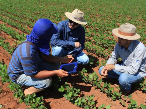 Syngenta Digital estará presente na Agrishow 2024 apresentando suas mais recentes tecnologias, incluindo inovações em inteligência artificial
