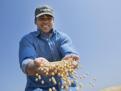 Syngenta Reverb