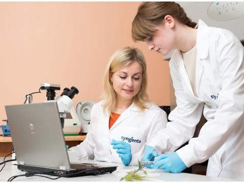 Laboratorio Syngenta