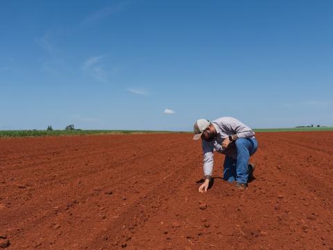 agrobrasilia