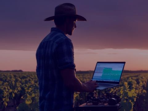 Cropwise Balance