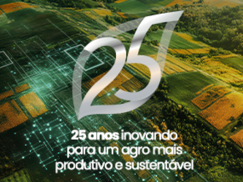 25 anos 