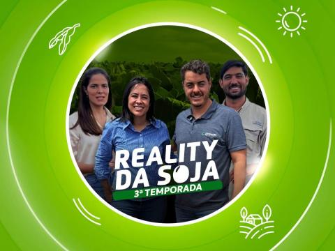 Reality da Soja - Syngenta