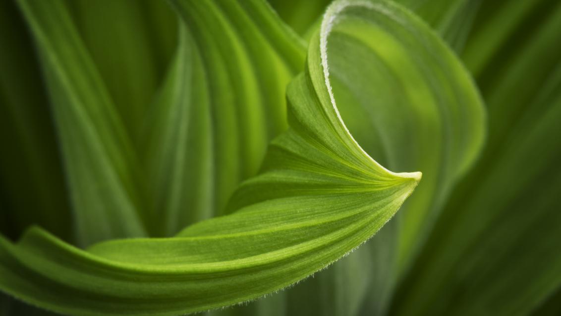 Prioridades de Sustentabilidade