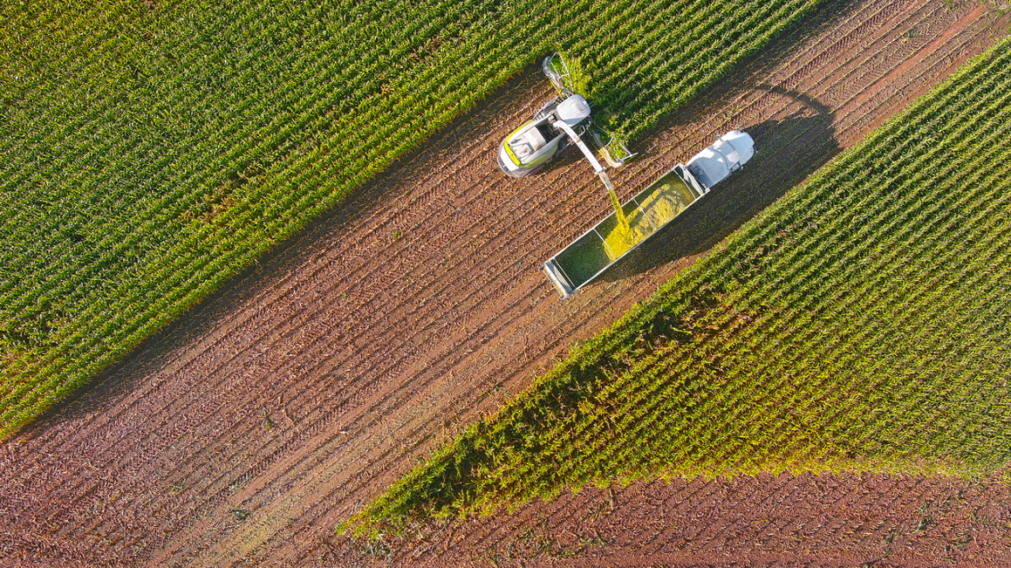 high_res_image-combine_harvester_harvesting_cor