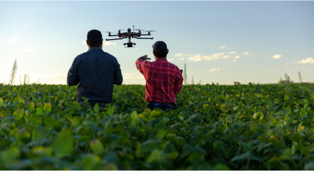 Dois homens olhando um drone em uma plantação