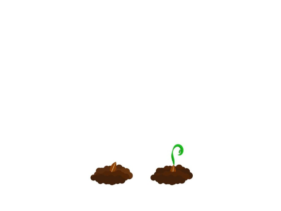 step 1 of growing plants