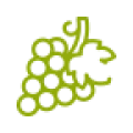 Ícone verde de cacho de uvas