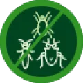 Logo verde com insetos em círculo