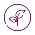 Ícone roxo de broto com duas folhas 