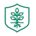Ícone verde de planta com raíz à mostra, dentro de um escudo