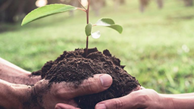 Teaser blog sustentabilidade Institucional