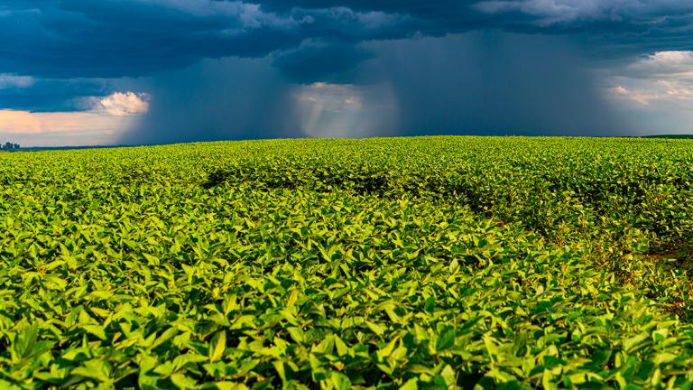 fenômenos climáticos na lavoura
