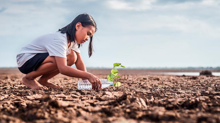 agricultura combate a crise climática