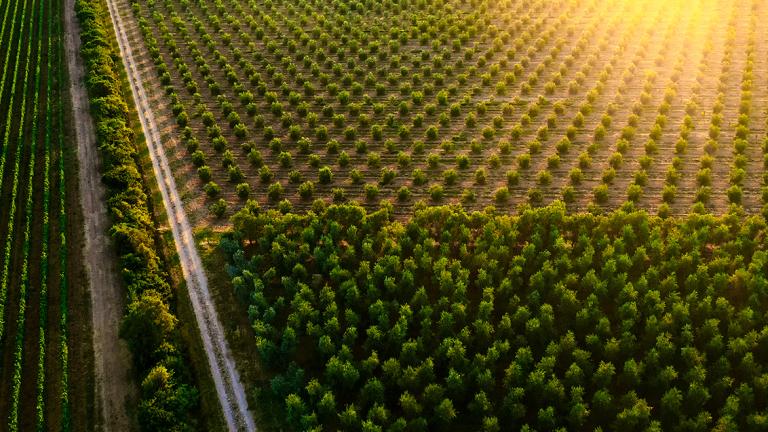 agricultura regenerativa
