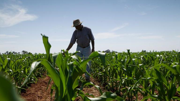 diadoagricultor2