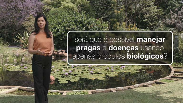 mitos e verdades 01