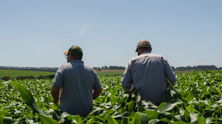 Barter em Campo: para a safra 2024/25, a Syngenta disponibilizou US＄1 bilhão em comercializações de barter para os agricultores brasileiros