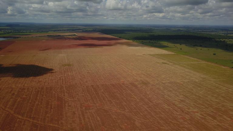 Fazenda no município de Jussara (GO) atendida pelo Reverte. O programa da Syngenta já atingiu o marco de 180 mil hectares