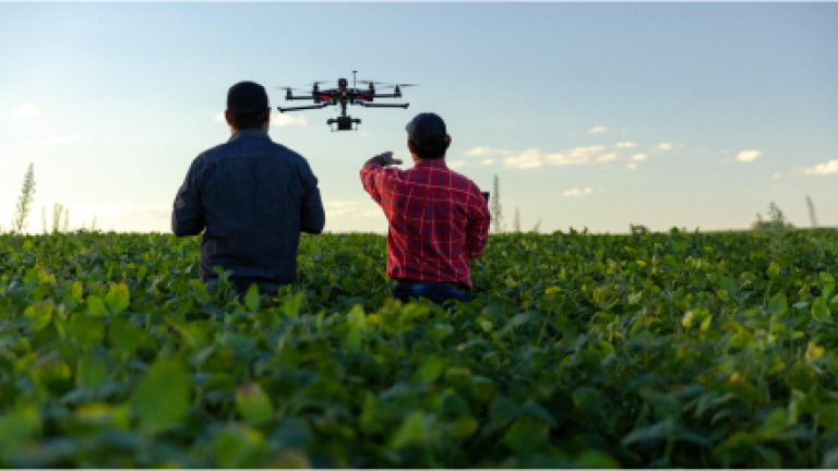 Dois homens olhando um drone em uma plantação