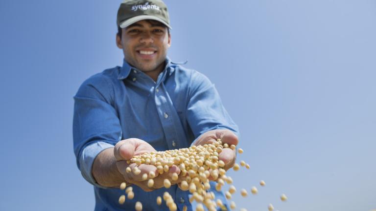 Syngenta Reverb