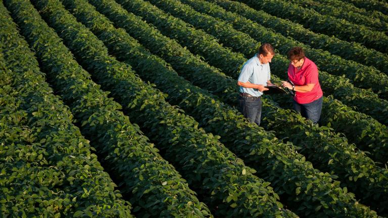Cropwise Grower, iniciativa da Syngenta com tecnologia de IA Generativa, é vencedora do Prêmio internacional GenAI Zürich