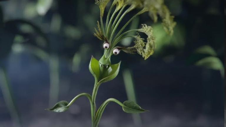 Não dê espaço para as plantas daninha de difícil controle!