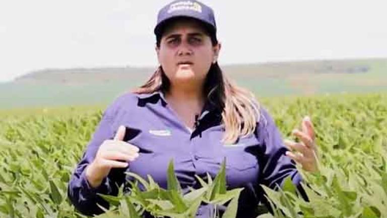 Depoimento dos resultados que uma agricultora obteve usando o produto Verdavis