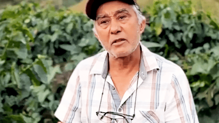 Depoimento sobre o produto Verdadero na lavoura do café, fortalecendo desde o solo