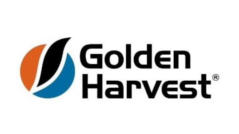 Logotipo Golden Harvest com símbolo azul e laranja e texto preto