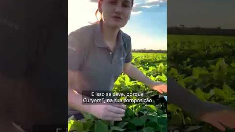 Websérie | CURYOM®️ Ver para Crer | Ep 1- Clima favorável para soja, ponto de atenção para lagartas!