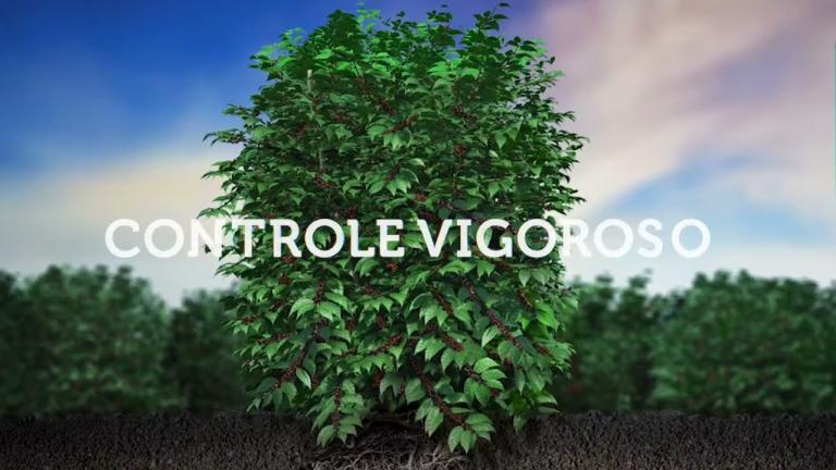 Adote um controle vigoroso no seu café com Durivo