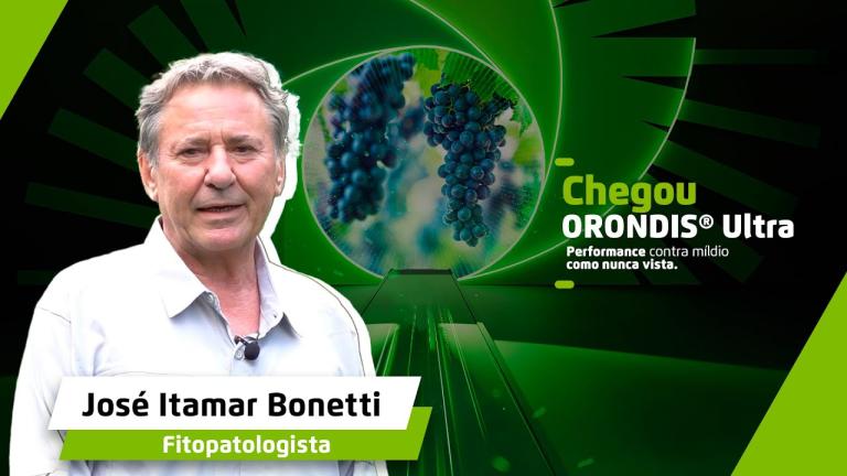 A evolução na proteção de folhas e cachos de uva: ORONDIS® Ultra!