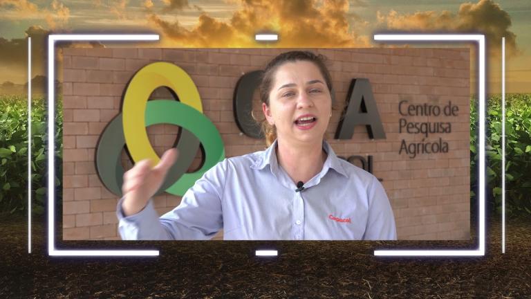 Engeo Pleno® S: depoimento da Gabrielle HoelscherGabrielle Hoelscher, pesquisadora da CPA-Copacol, conta um pouco mais sobre sua experiência com Engeo Pleno® S na cultura da soja.