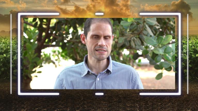 Engeo Pleno® S: depoimento do pesquisador José FernandoJosé Fernando, consultor e pesquisador da Famiva pesquisa e Soluções Agrícolas, conta um pouco mais sobre sua experiência com Engeo Pleno® S na cultura da soja.