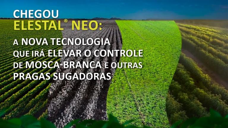 Conheça ELESTAL® Neo: tecnologia inédita para o controle de mosca-branca e outras pragasO mais novo lançamento da Syngenta chegou para elevar o controle de mosca-branca e outras pragas sugadoras.