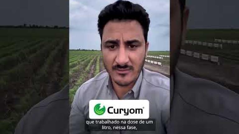 Websérie CURYOM®️ | Ep. 4 – Como quebrar o ciclo da Spodoptera e proteger o potencial da sua soja