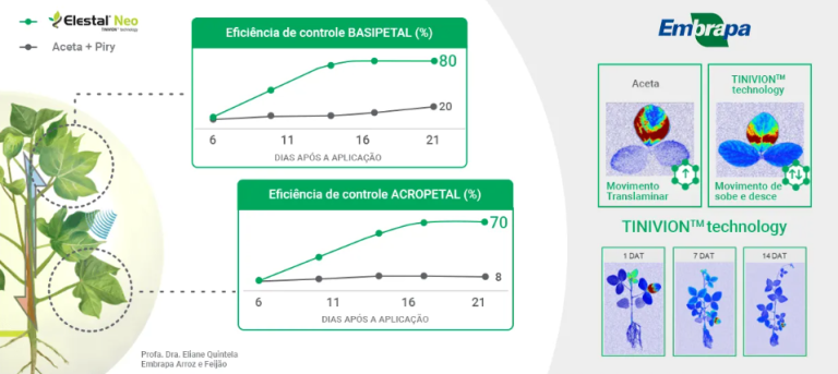 infográfico mostrando proteção do produto em toda a planta