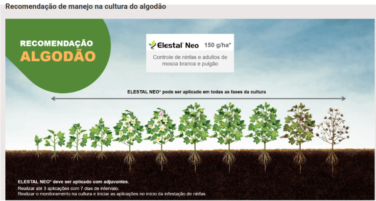 Infográfico mostrando recomendação de manejo do algodão com fases de crescimento da planta.