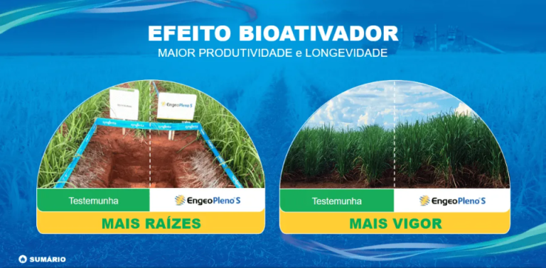 Gráfico comparando planta com e sem o bioativador