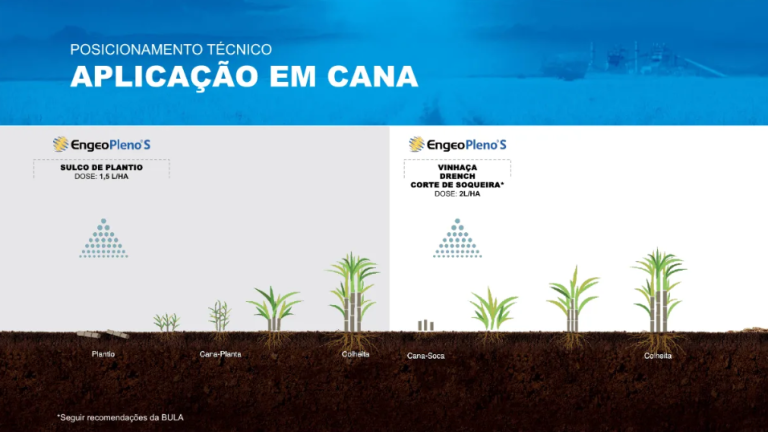 Imagem mostrando aplicação do produto em cana