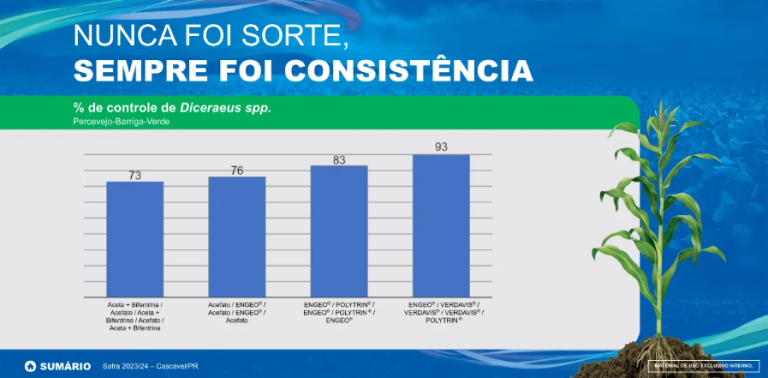 Ação do produto em percevejo barriga verde