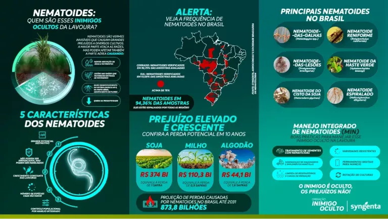 Infográfico sobre nematoides, apresentando suas características, principais espécies no Brasil, frequência de ocorrência, prejuízos em soja, milho e algodão e práticas de manejo integrado.