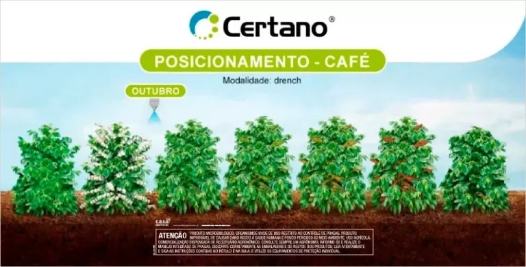 Banner em fundo azul do produto Certano com árvores e texto “Posicionamento: CAFÉ”