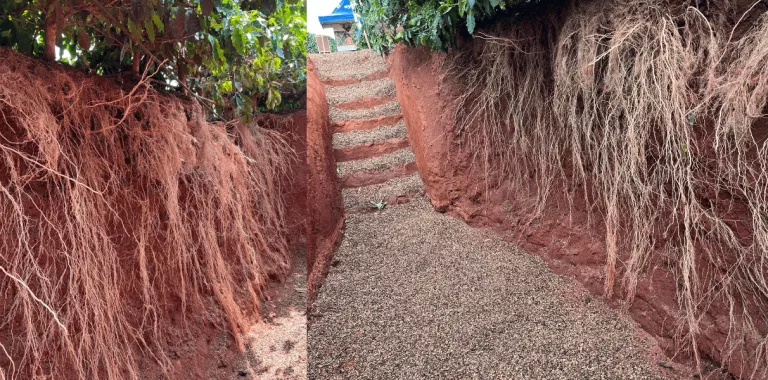 Escadaria de pedra entre barrancos de terra vermelha e raízes expostas